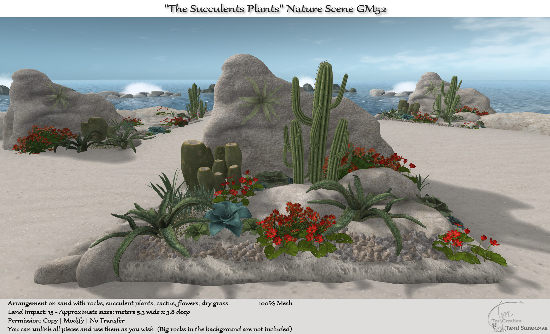 Tm Creation – The Succulents Plants Nature Scene