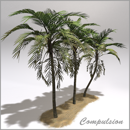 Compulsion – Palm Tree