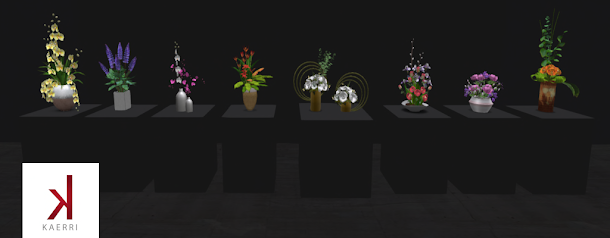 Kaerri – Vases of Flowers