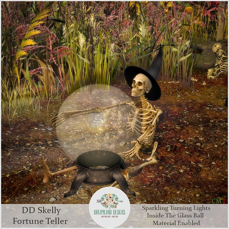 Dreamland Designs – Skelly Fortune Teller