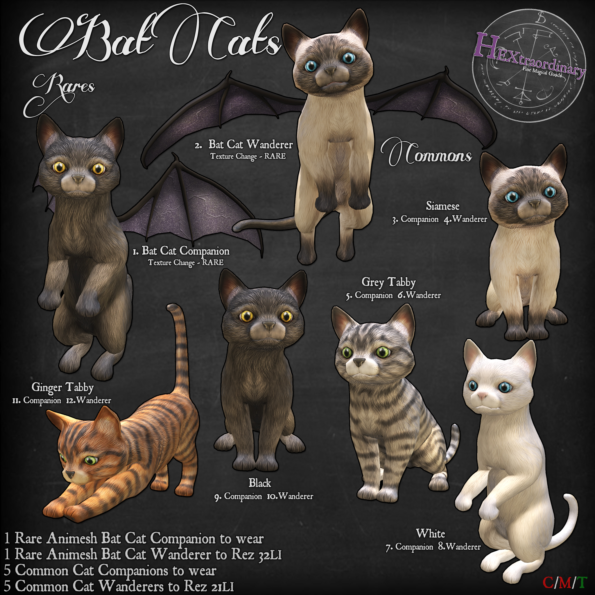 HEXtraordinary – Bat Cats