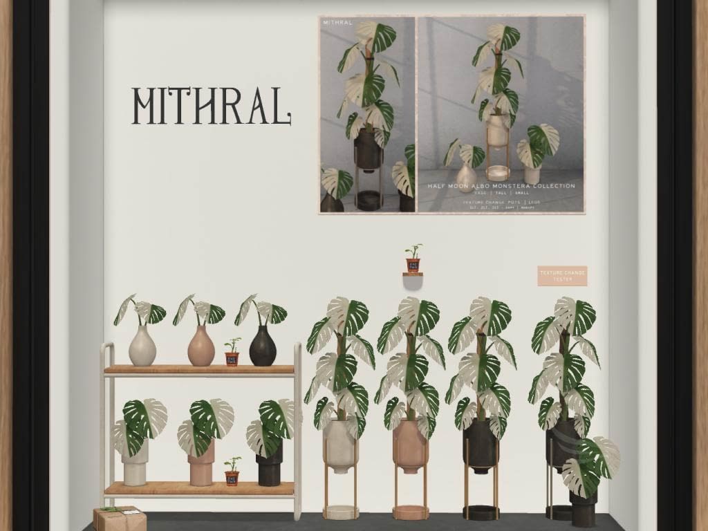 Mithral Apothecary – Half Moon Albo Monstera Collection