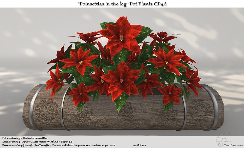 Tm Creation – Poinsettias in the log Pot Plants