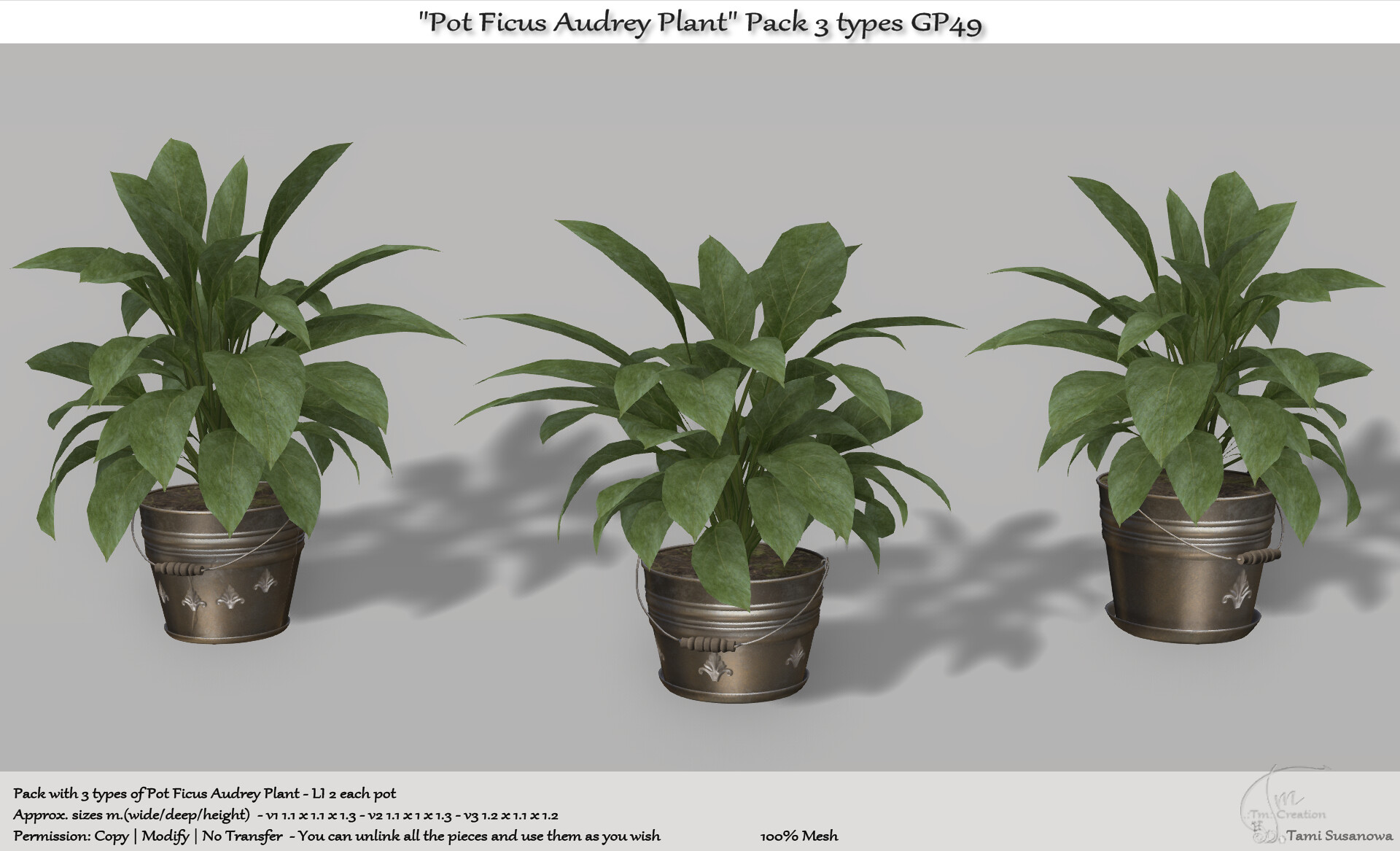 TM Creation – Pot Ficus Audrey Plant