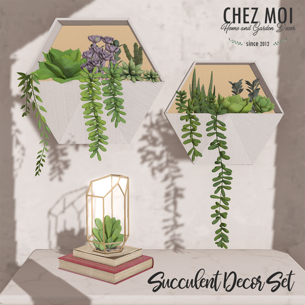 Chez Moi – Succulent Decor Set