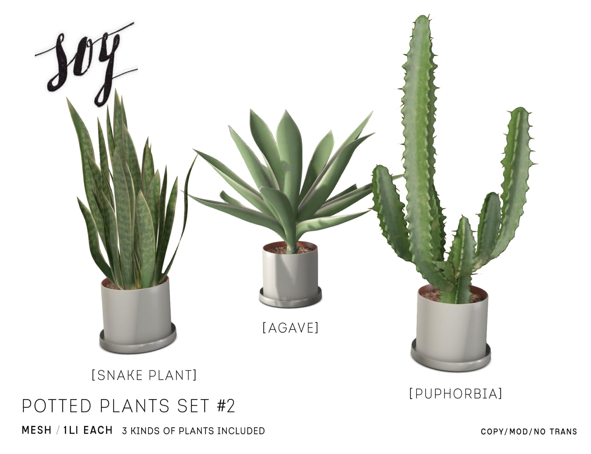 Soy – Potted Plants Set #2/Cane Planter Cover