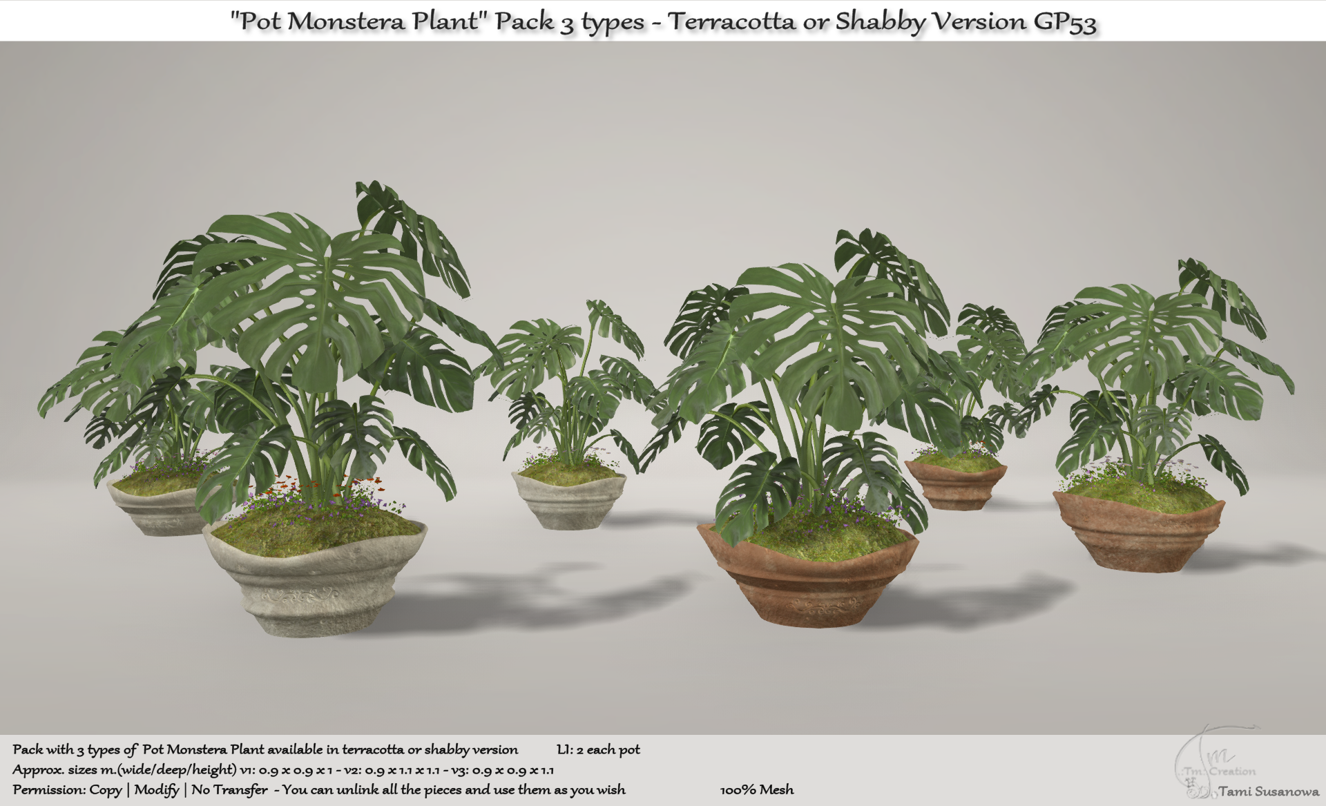 Tm Creation – “Pot Monstera Plant”