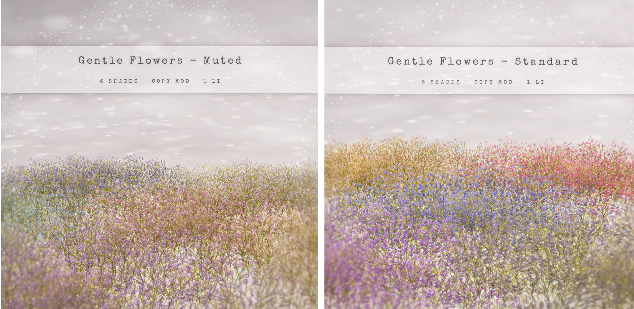 Celeste – Gentle Flowers