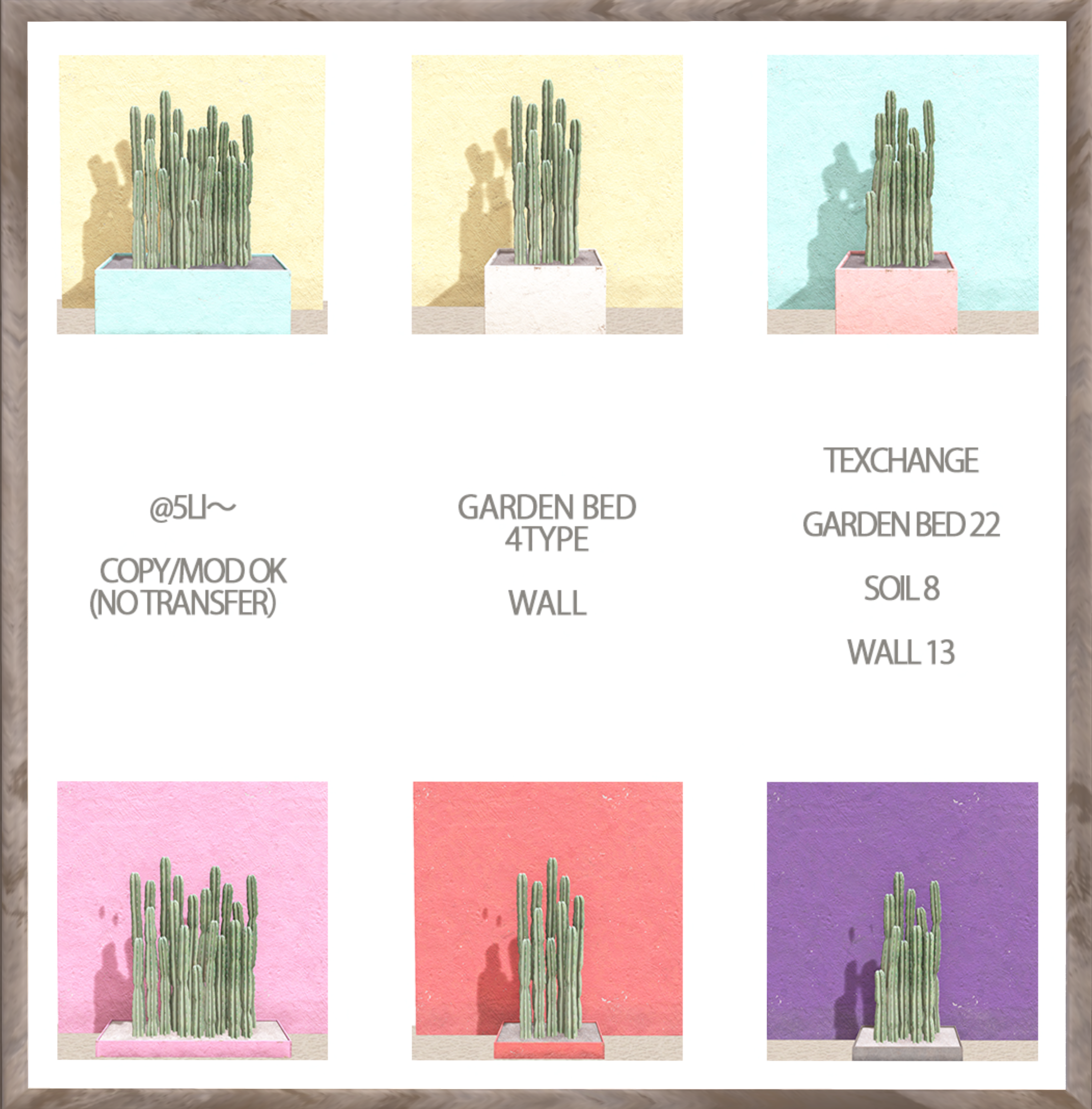 MONKEYgirl – Cactus Set