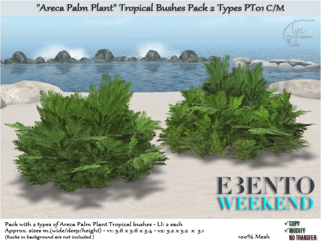 Tm Creation – “Areca Palm Plant”