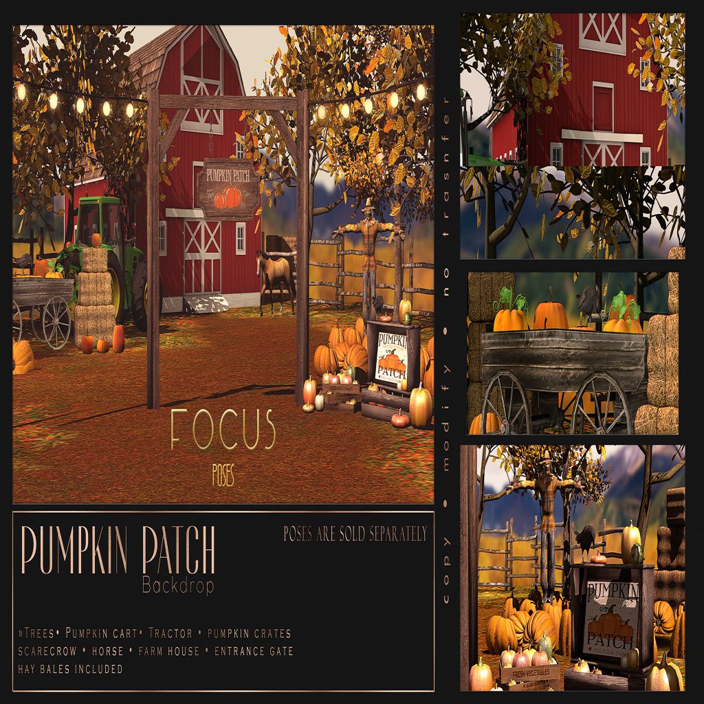 Focus Poses – Pumpkin Patch Backdrop