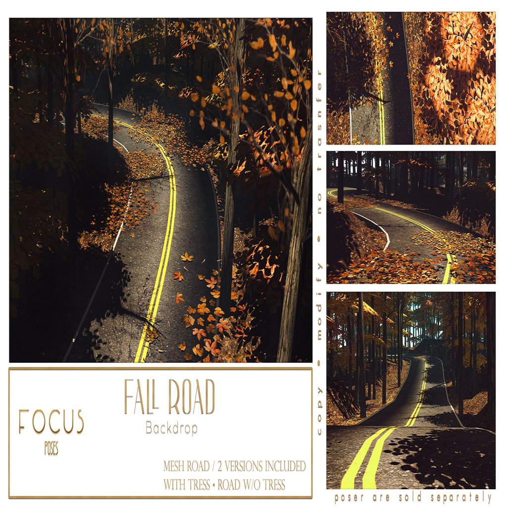 Focus Poses – Fall Road Backdrop