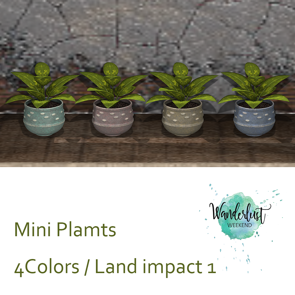 Korpokkur – Mini Plants
