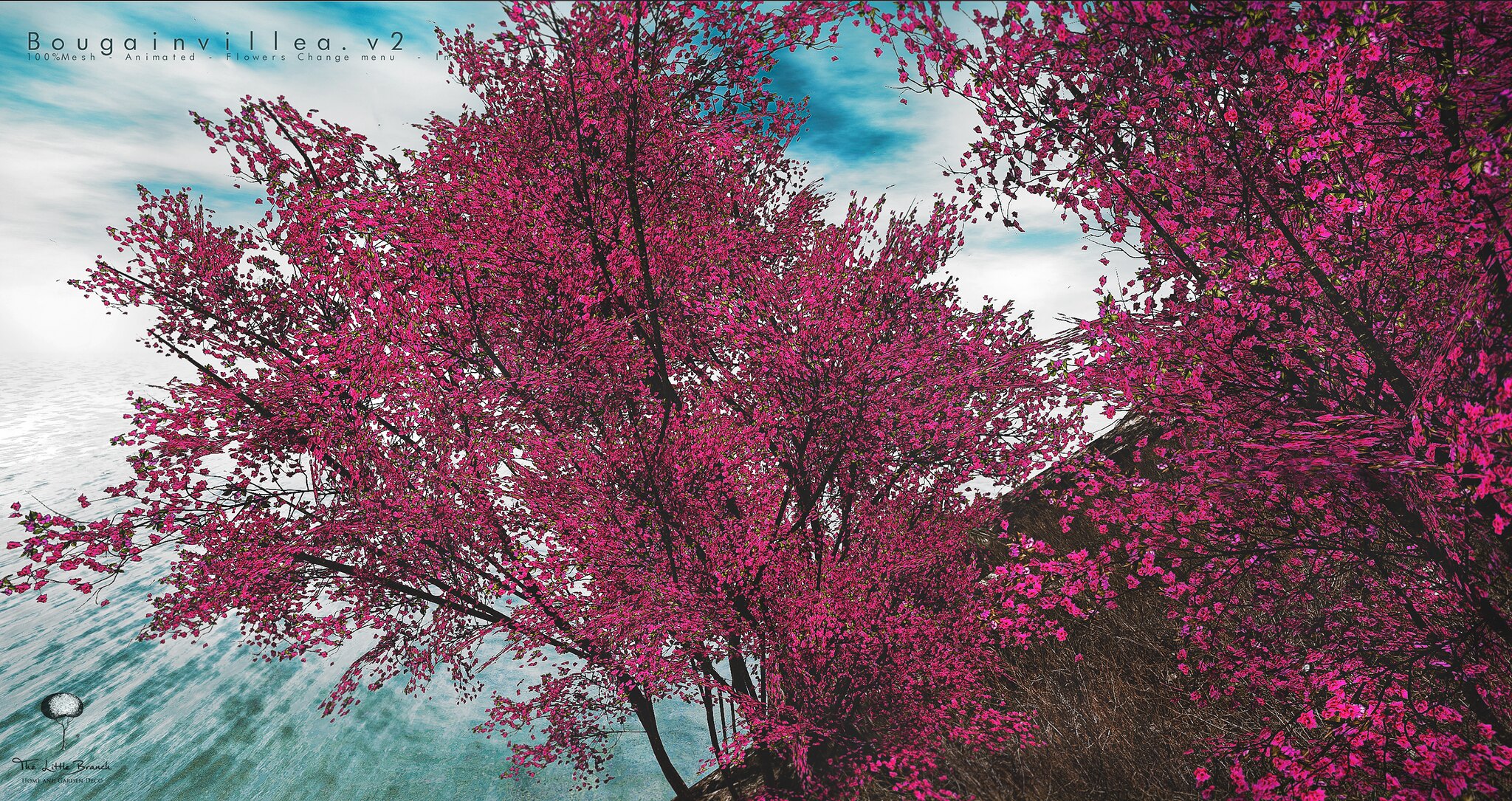 Little Branch – Bougainvillea V2