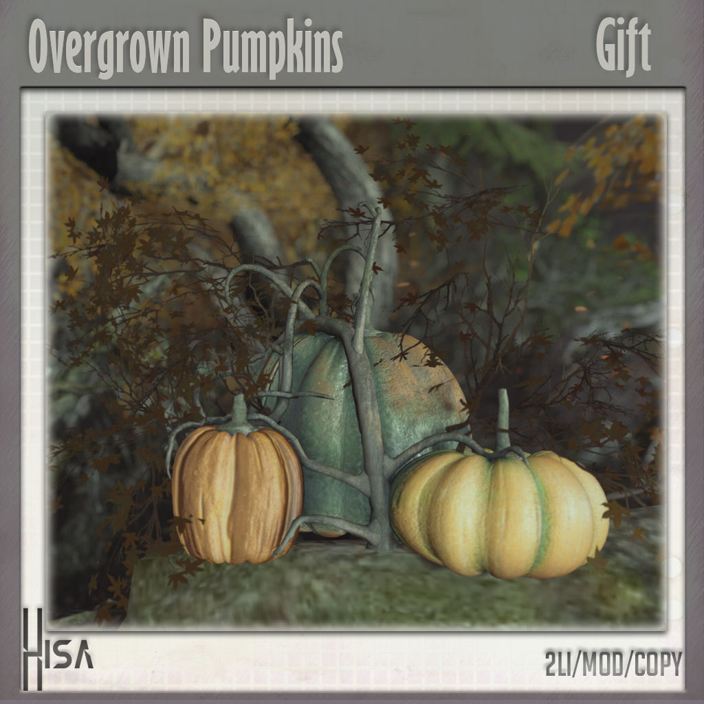 HISA – Overgrown Pumpkins