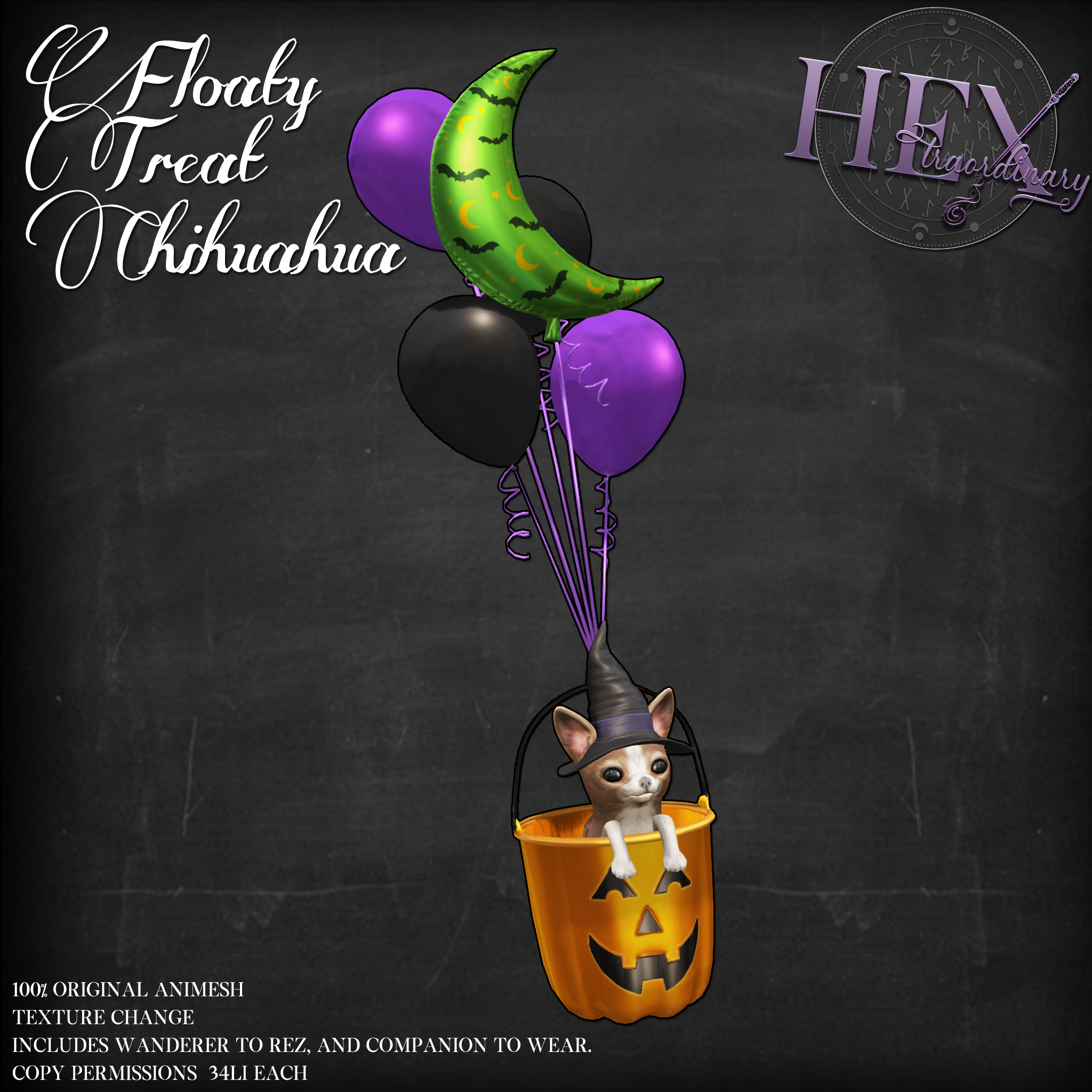 HEXtraordinary – Floaty Treat Chihuahua