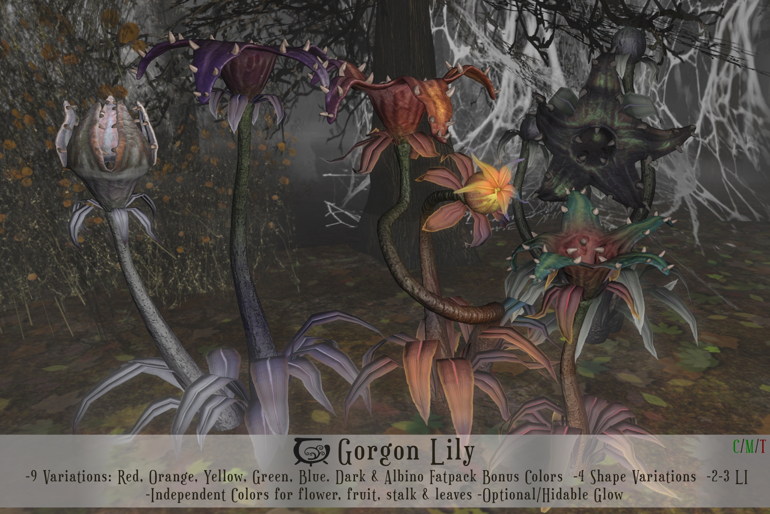 Cerridwen’s Cauldron – Gorgon Lily