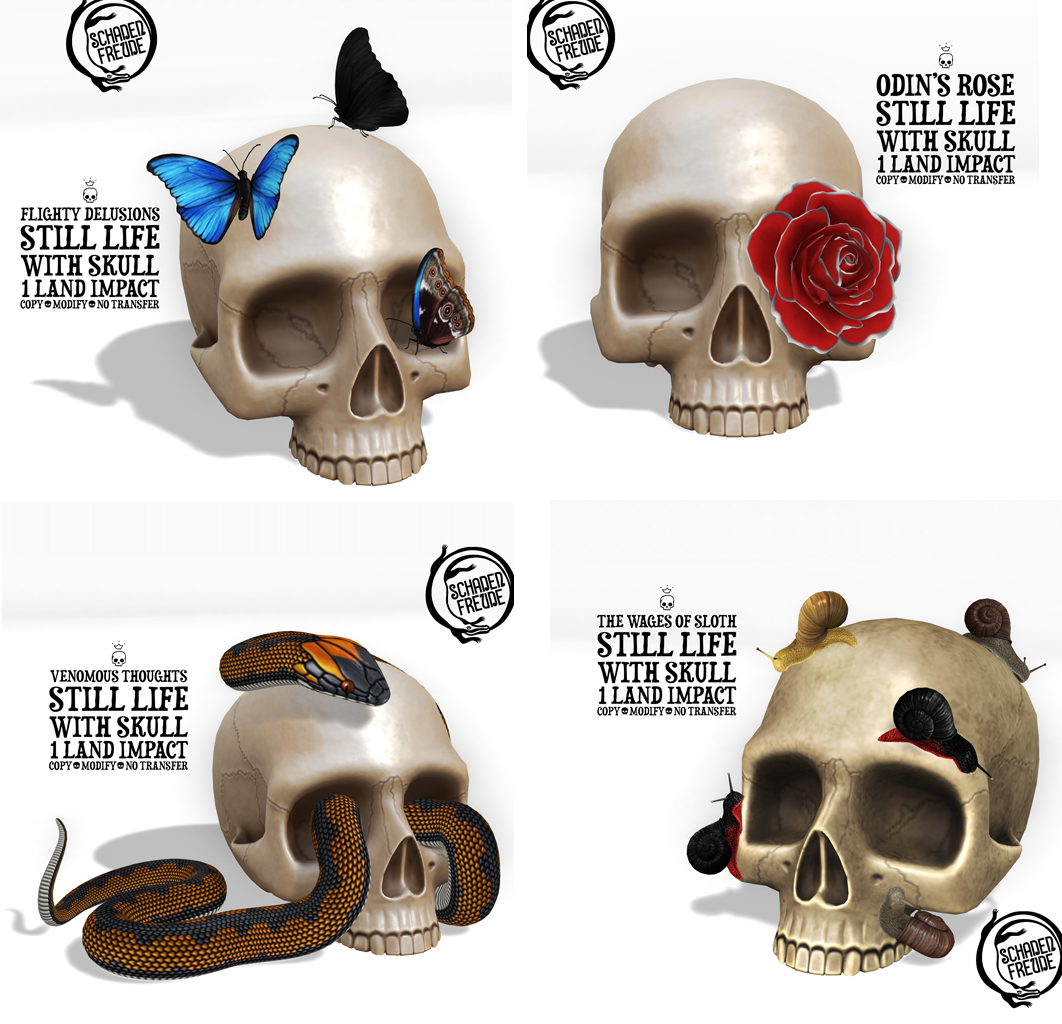 Schadenfreude – Still Life With Skull Set