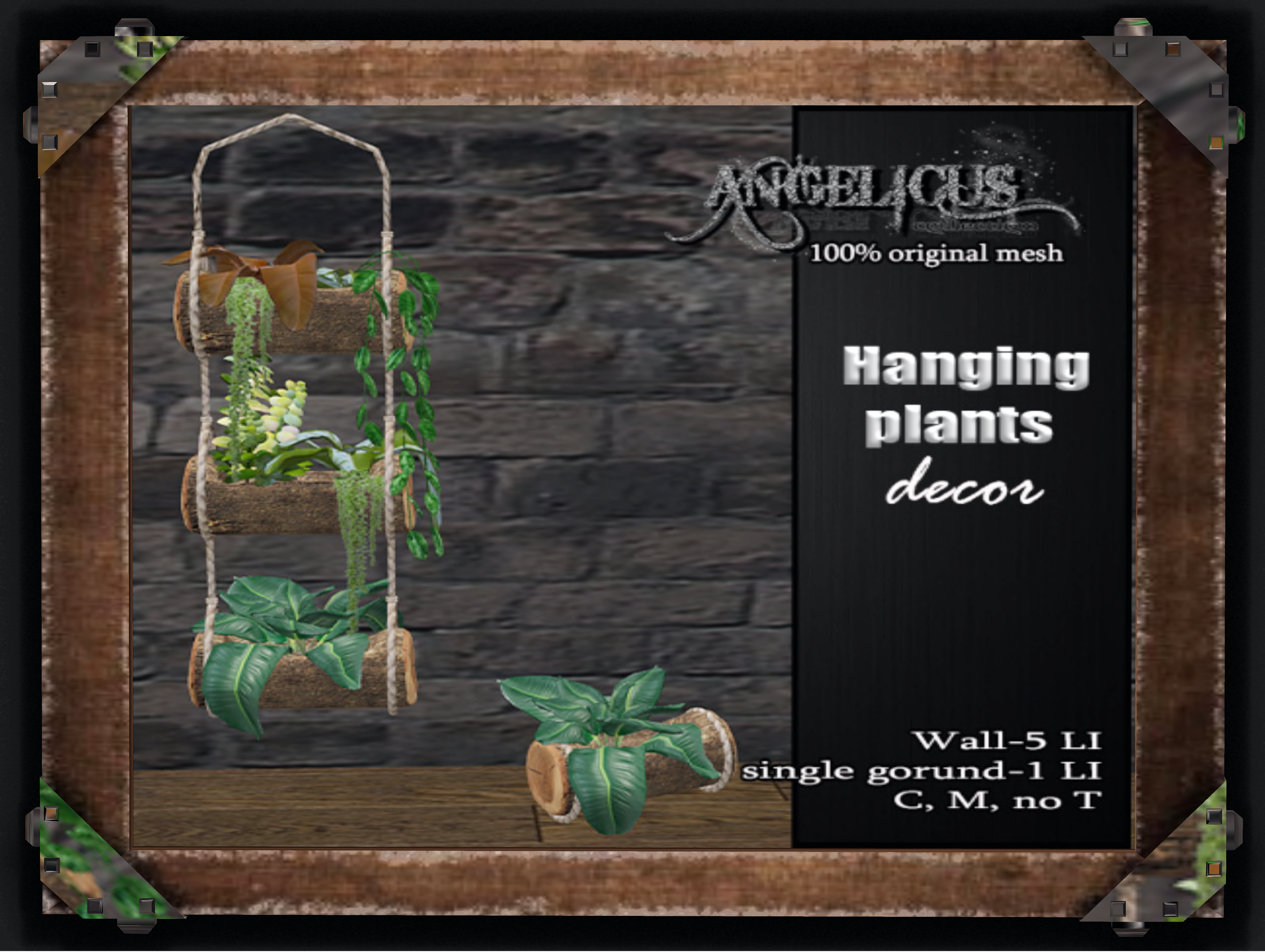 Angelicus – Plant Decor