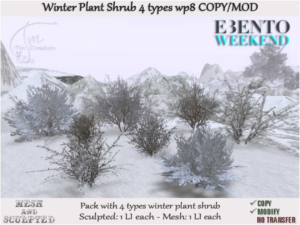 Tm Creation – Winter Plant Shrub