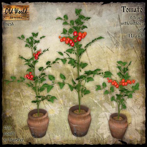 Old World – Tomato Plant/Fish Crate