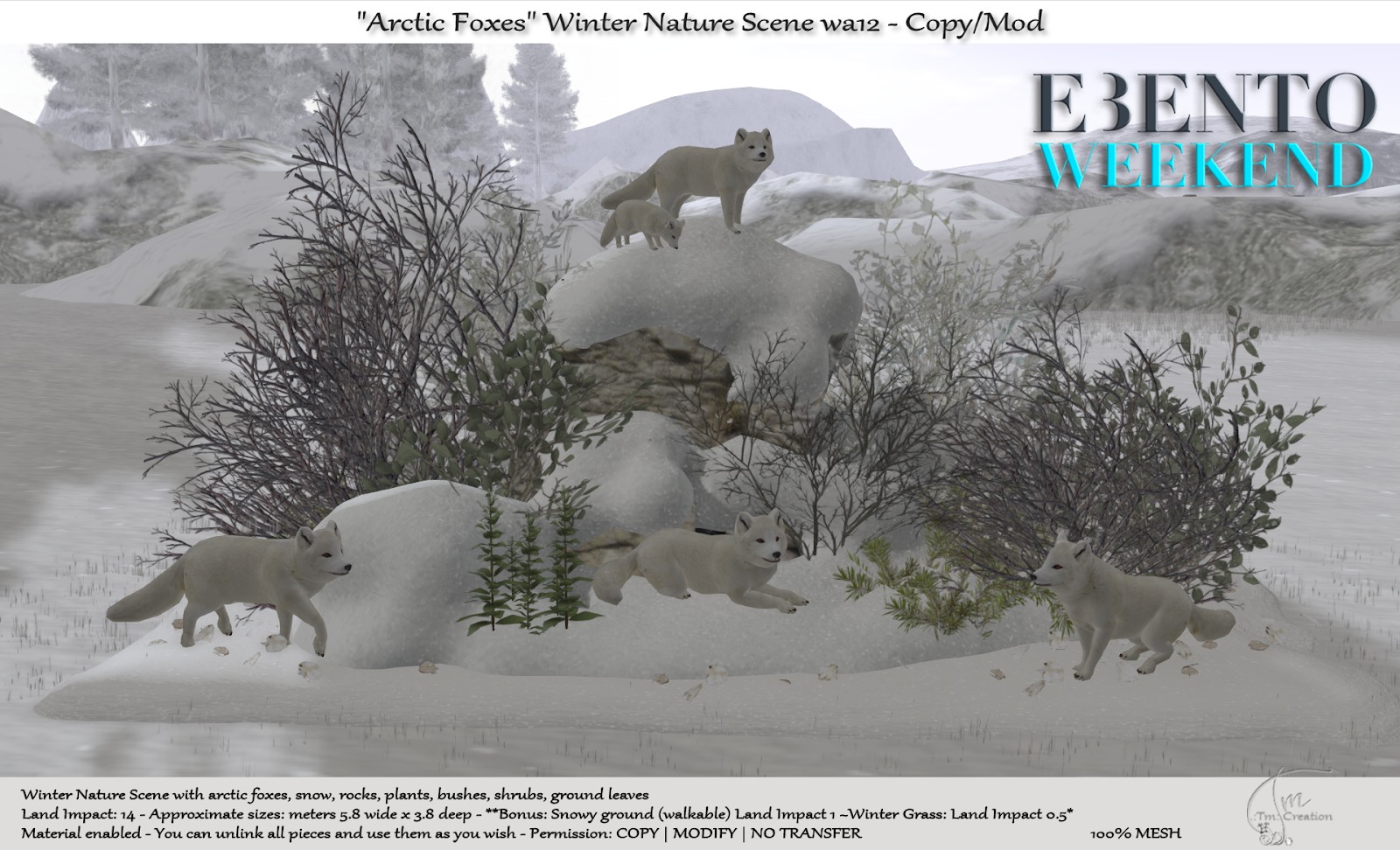 Tm Creation – “Arctic Foxes” Winter Nature Scene