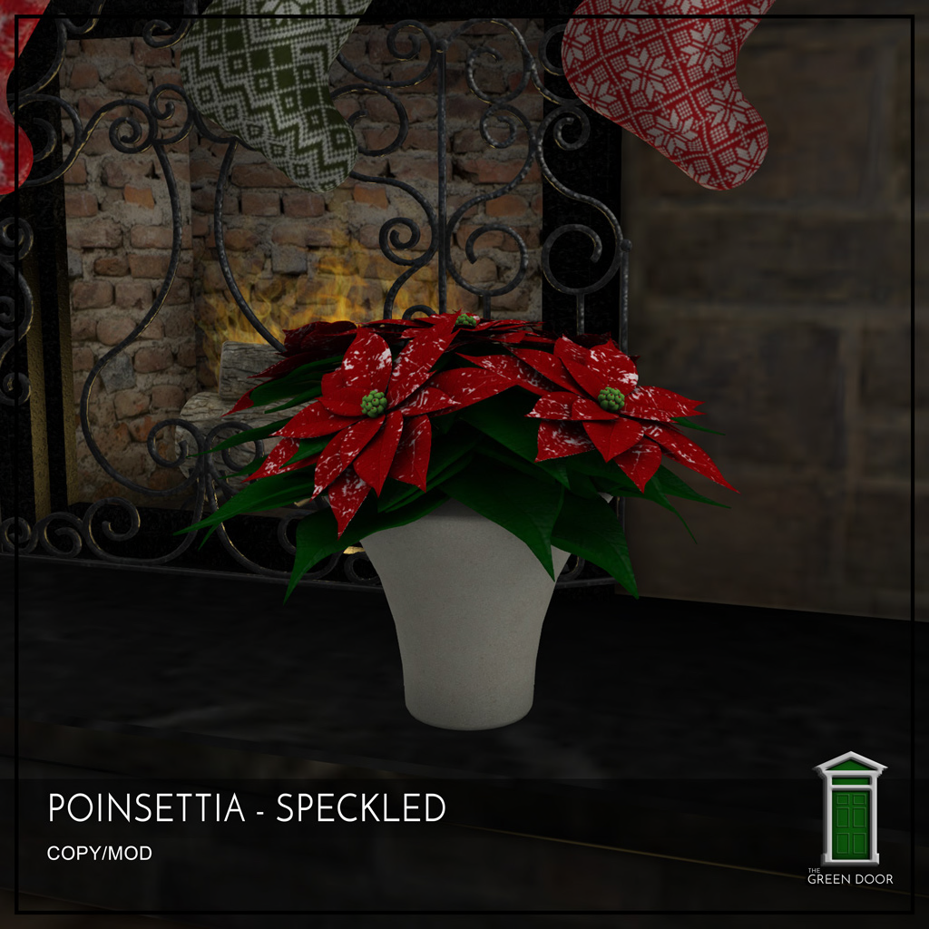 The Green Door – Speckled Poinsettia Group Gift