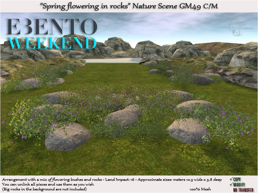 TM Creation – “Spring flowering in rocks”