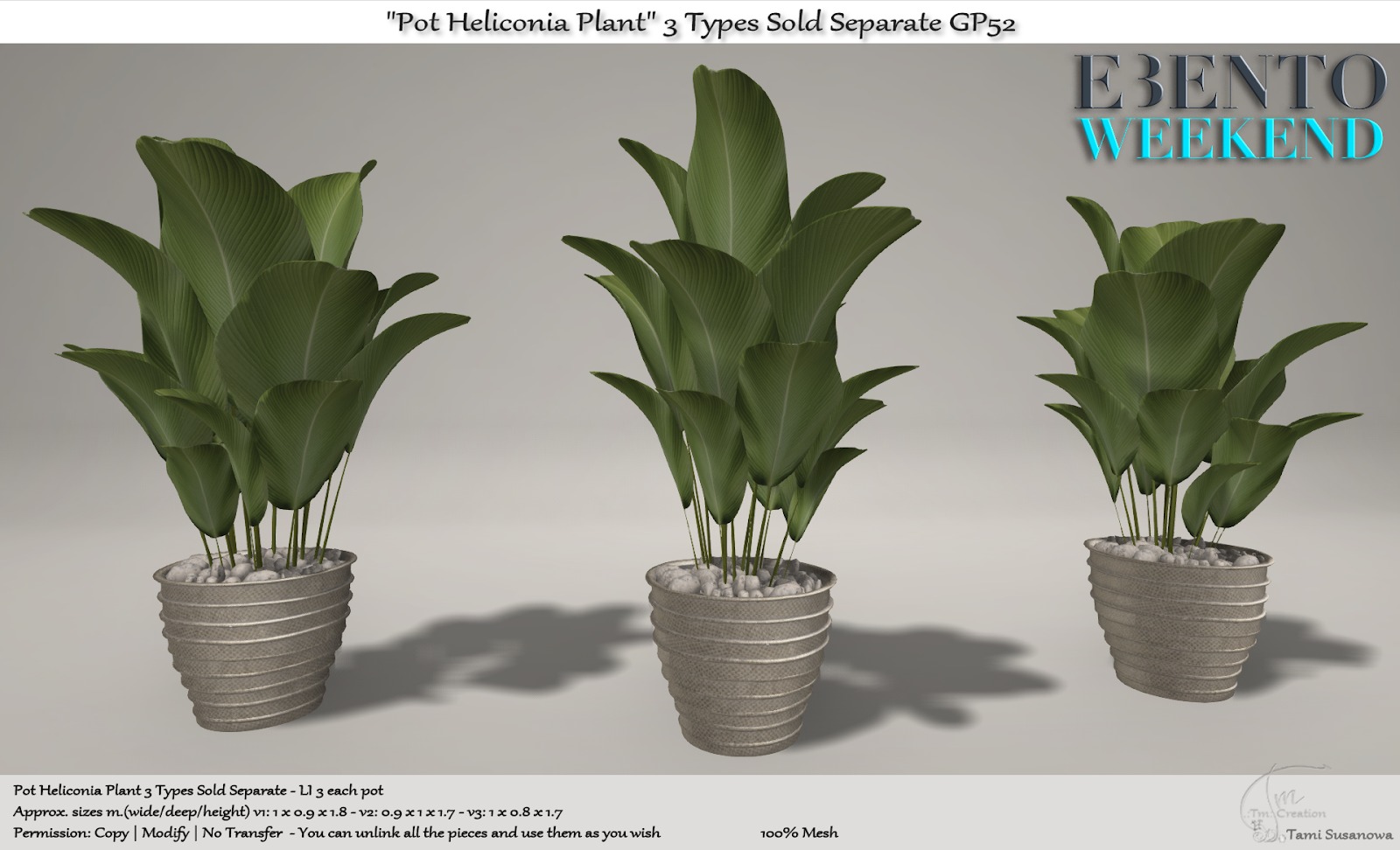 TM Creation – Pot Heliconia Plant