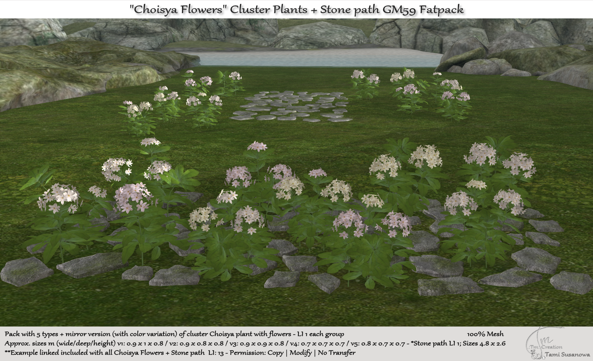 Tm Creation – Choisya Flowers