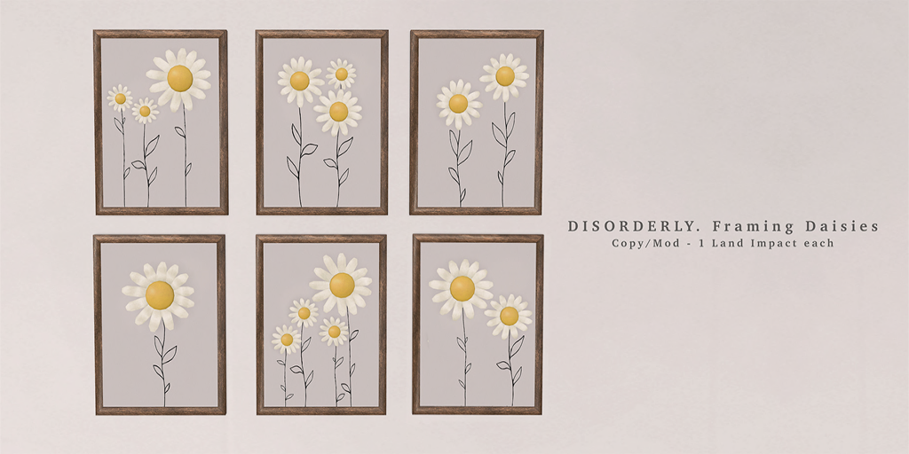 Disorderly – Framing Daisies