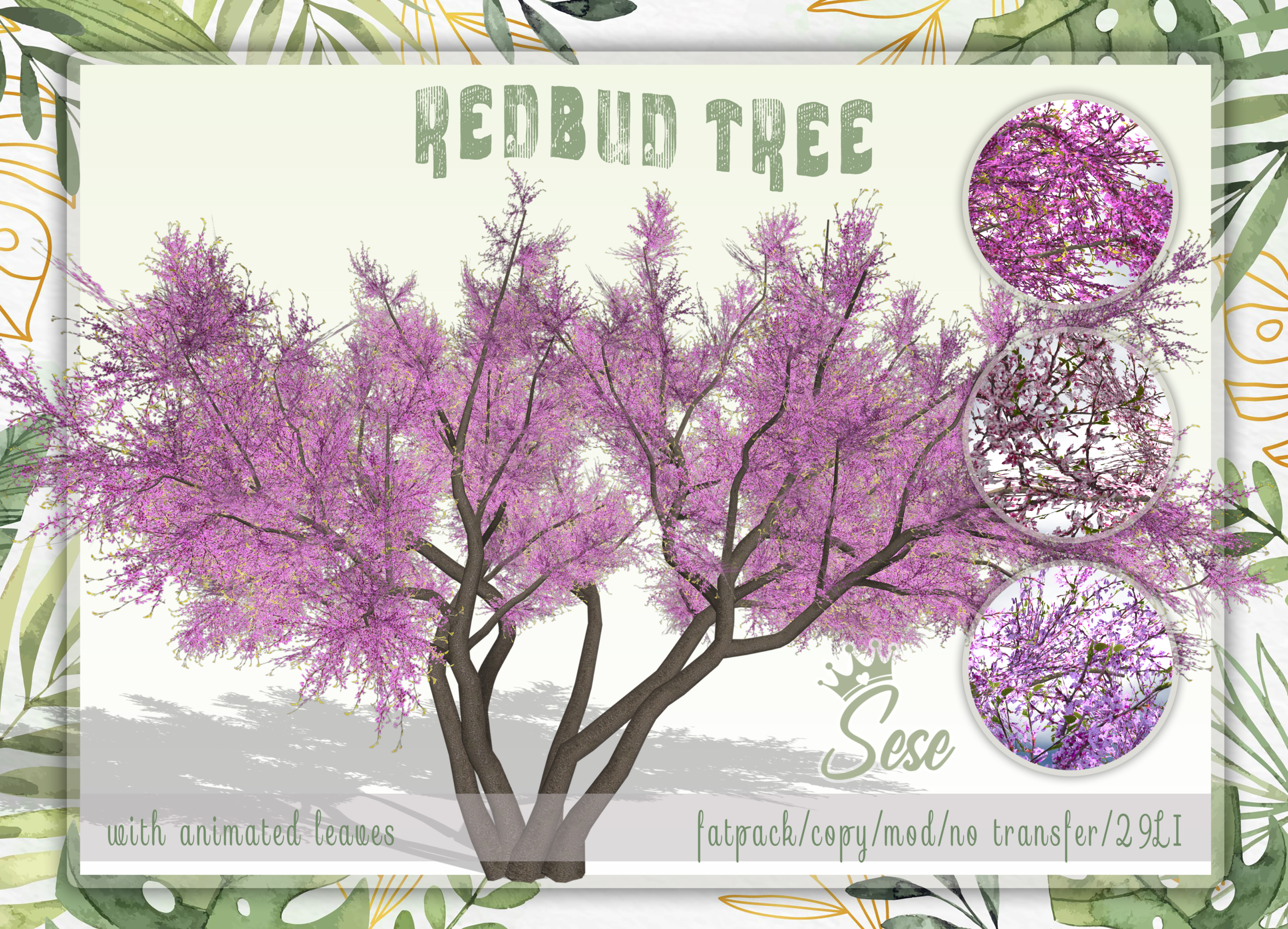 Sese – Redbud Tree