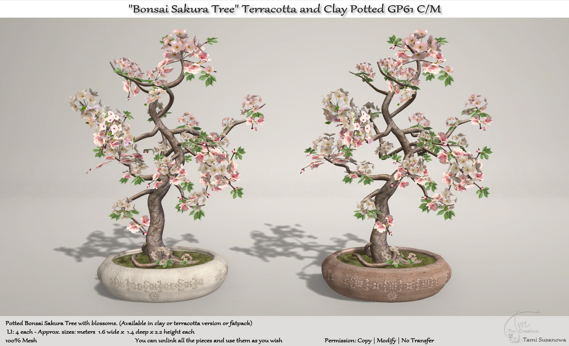 TM Creation – Bonsai Sakura Tree