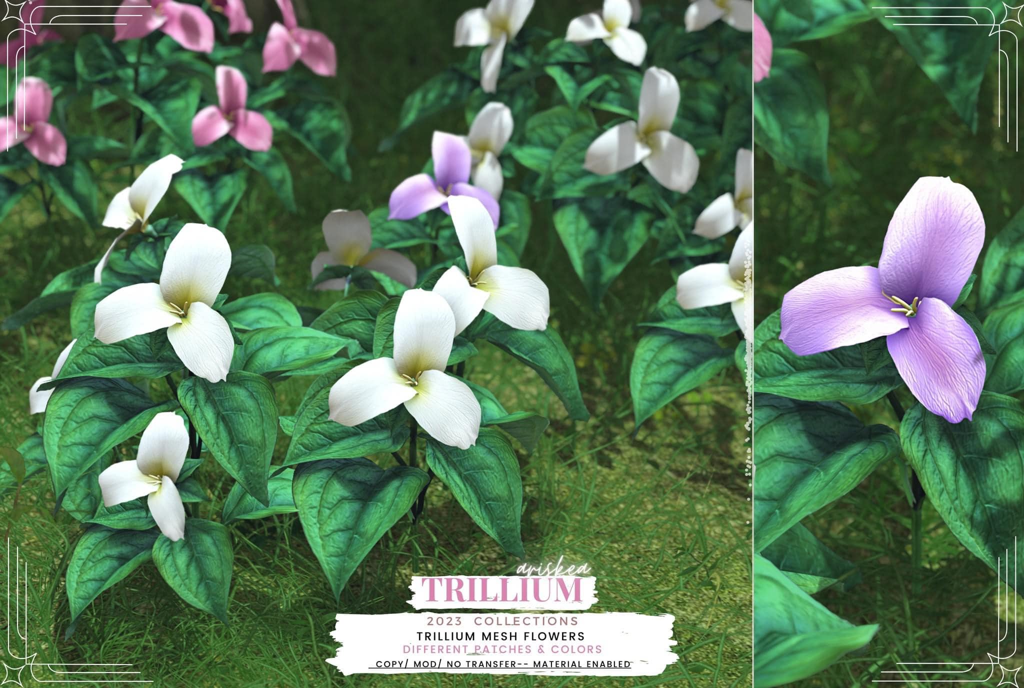 Ariskea – Trillium Collection