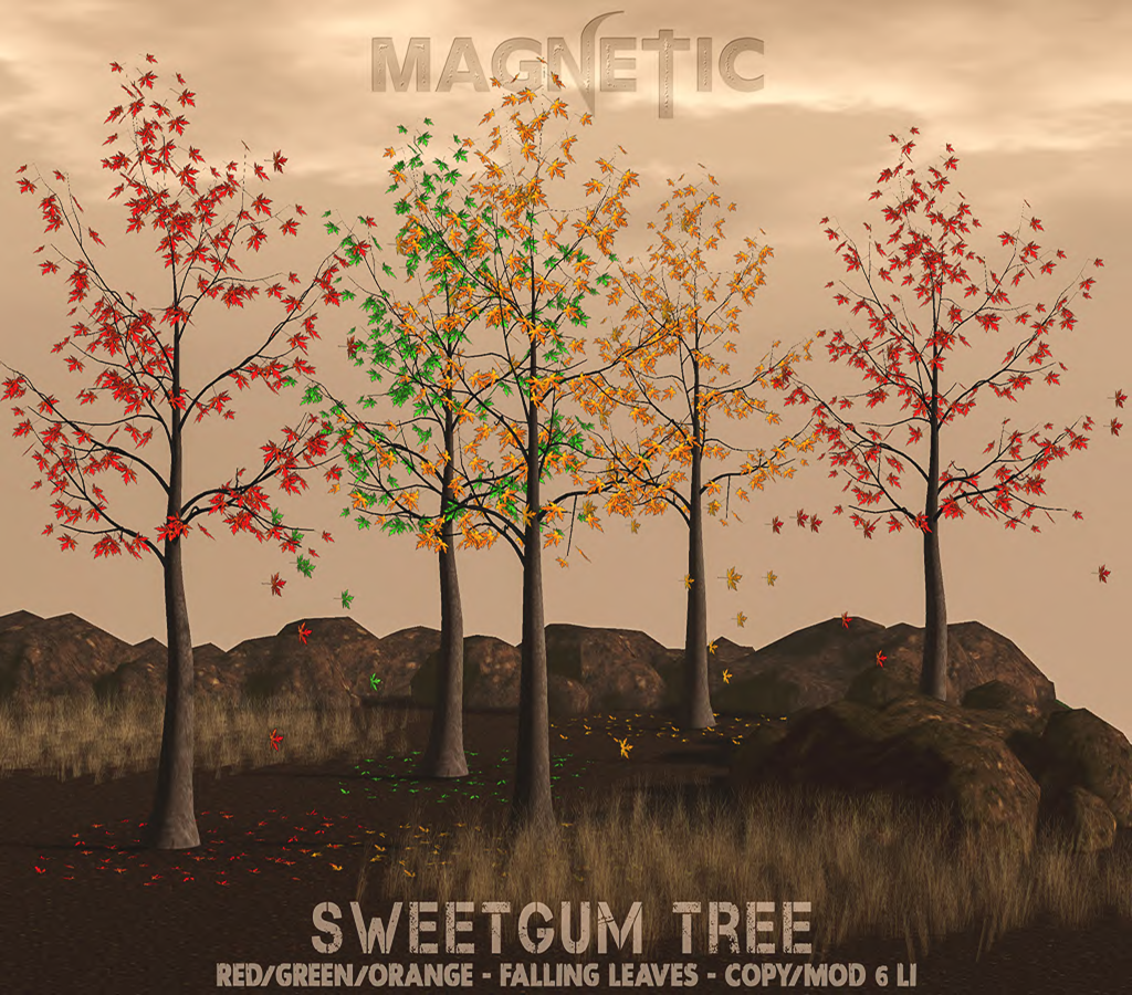 Magnetic – Sweetgum Tree