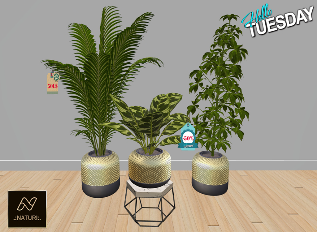 Naturi – Potted Plants