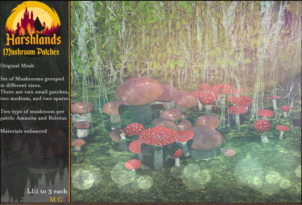 Harshlands – Mushroom Patches