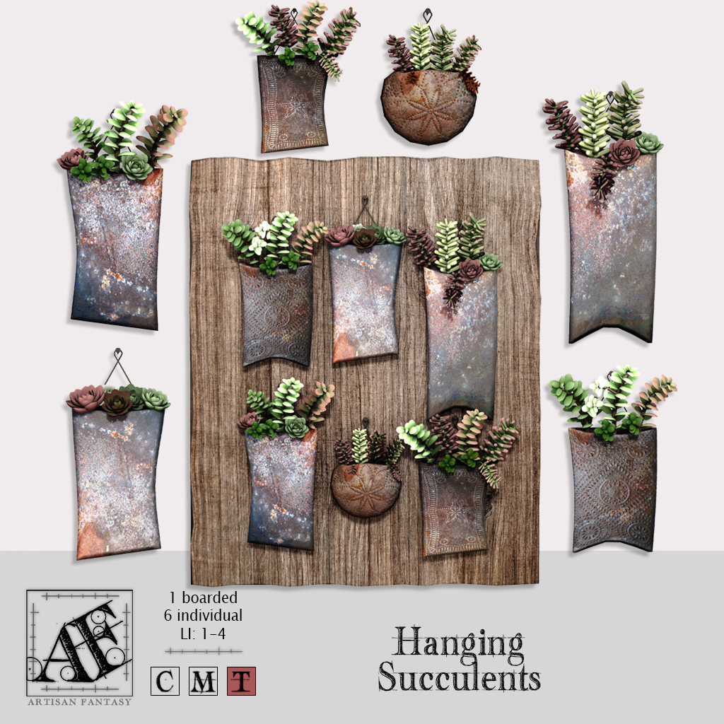 Artisan Fantasy – Hanging Succulents