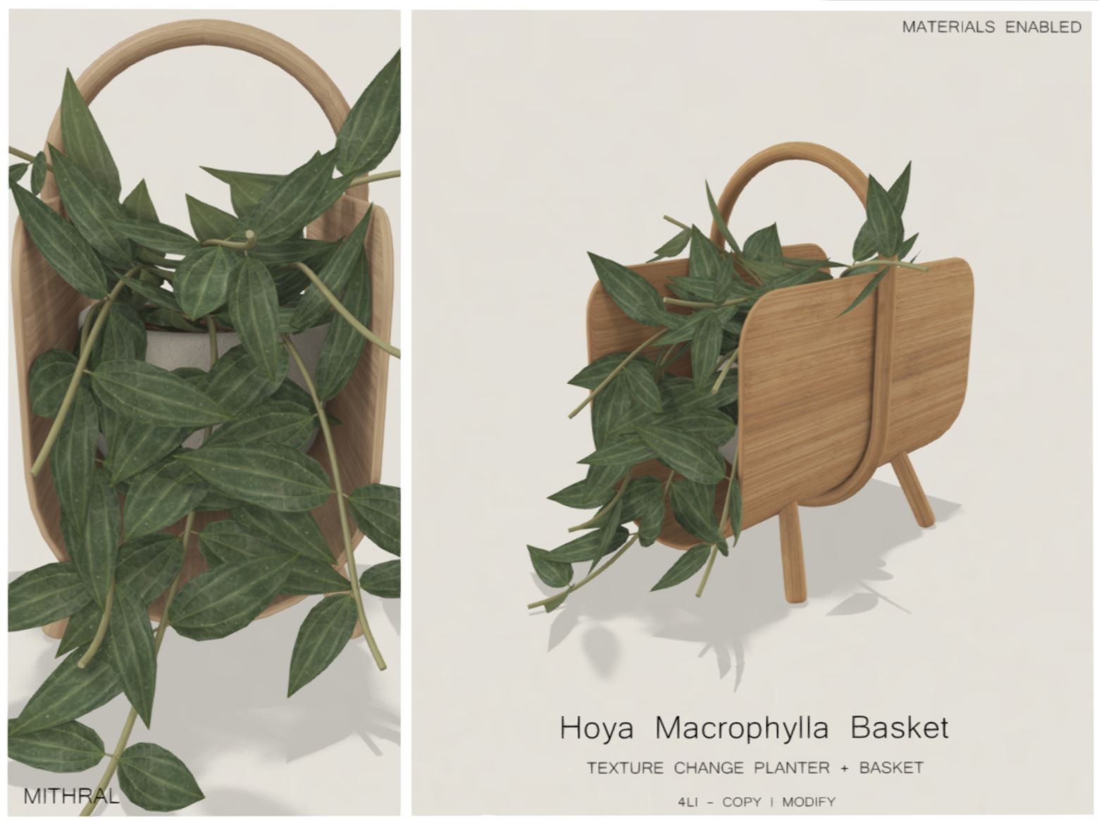 Mithral – Hoya Macrophylla Basket