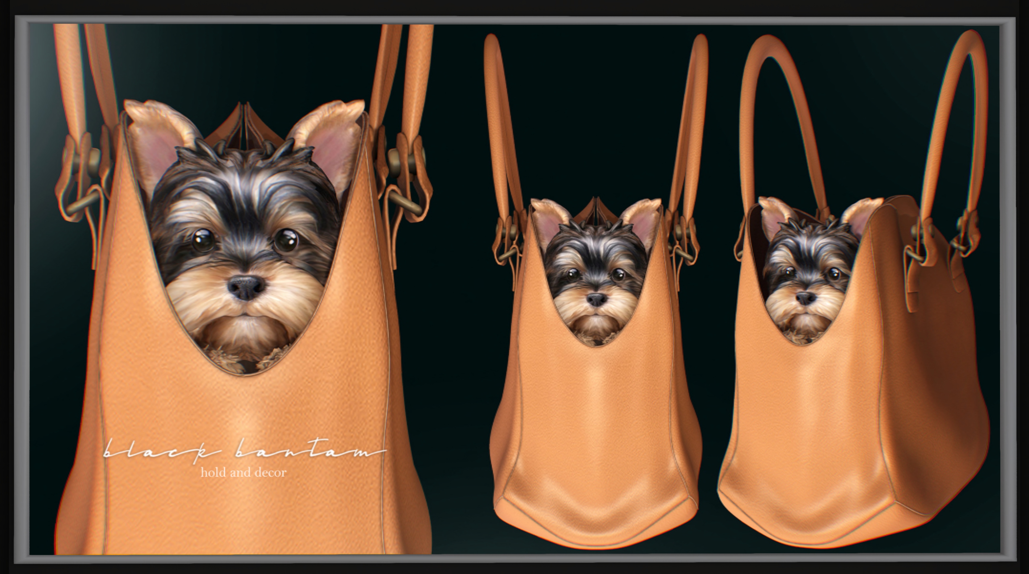 Black Bantam – Yorkie in Purse