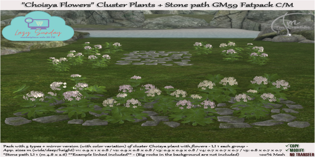 TM Creation – Choisya Flowers + Stone Path