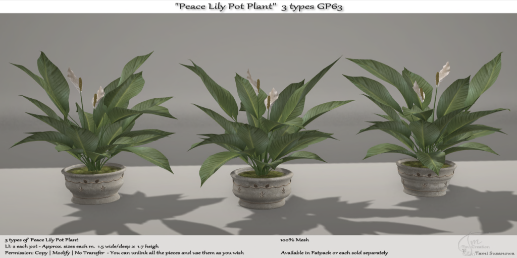 Tm Creation – “Peace Lily Pot Plant”