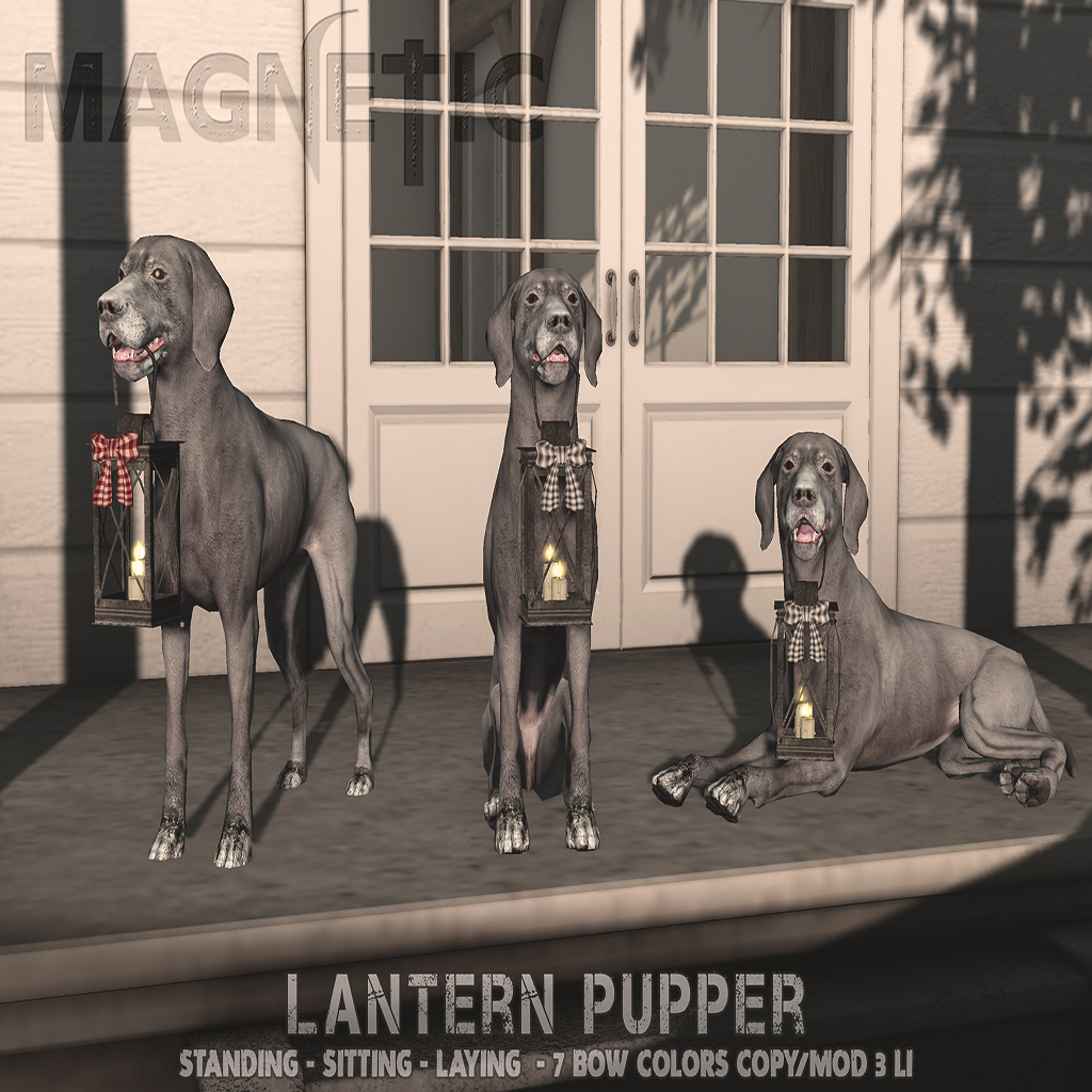 Magnetic – Lantern Pupper