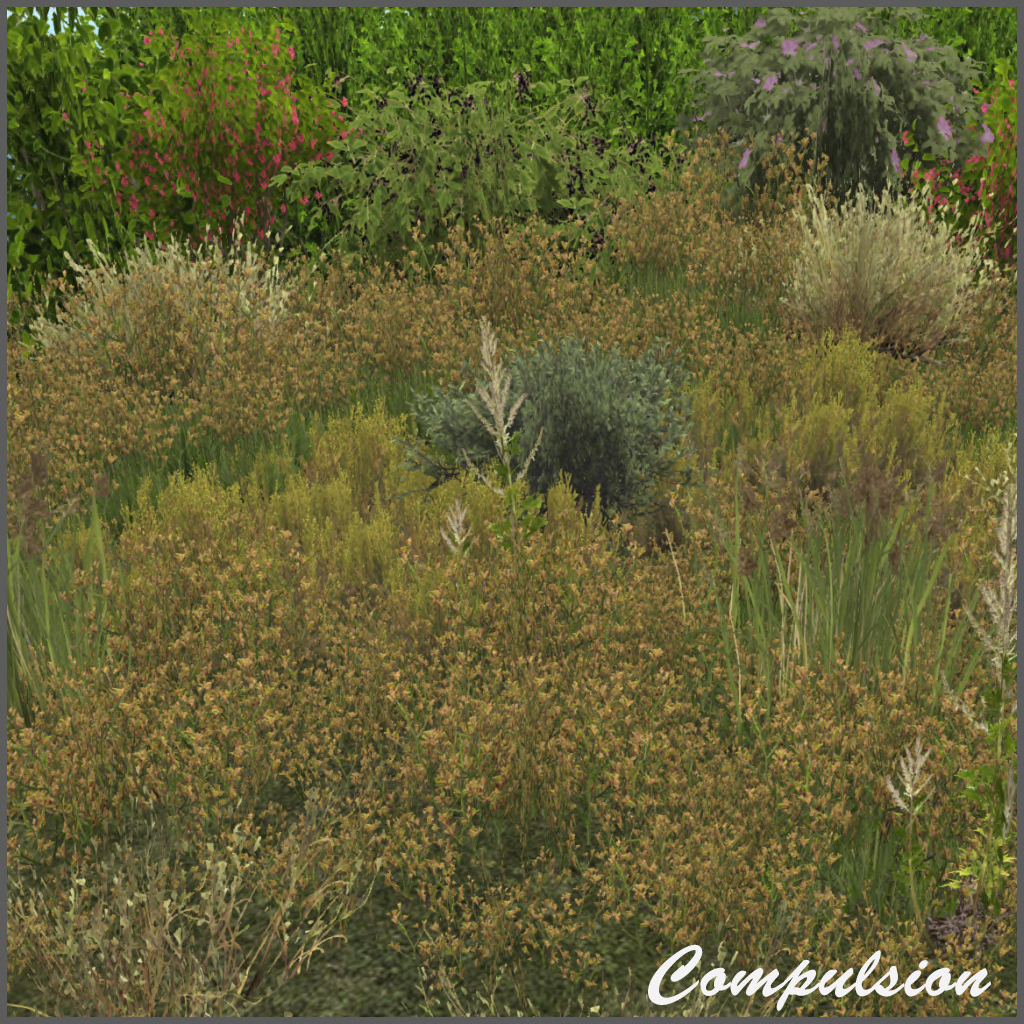 Compulsion – Low Prim Bushes