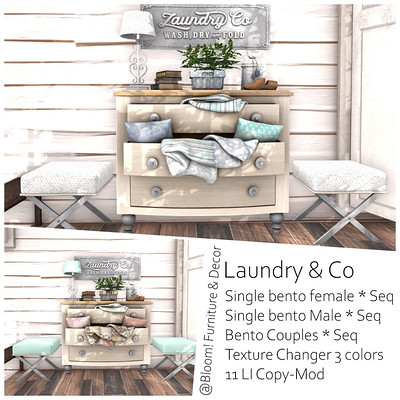 Bloom – Laundry & Co