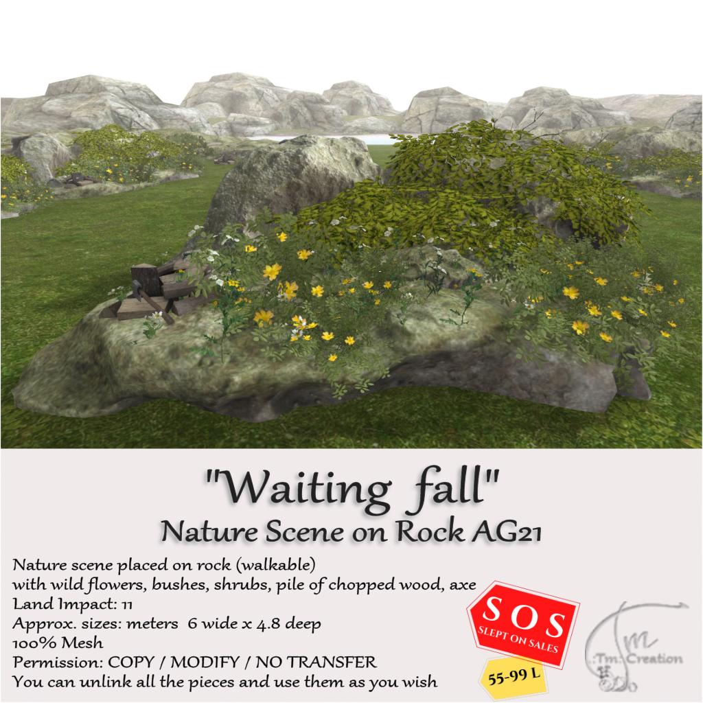 TM Creation – “Waiting fall” Nature Scene On Rock