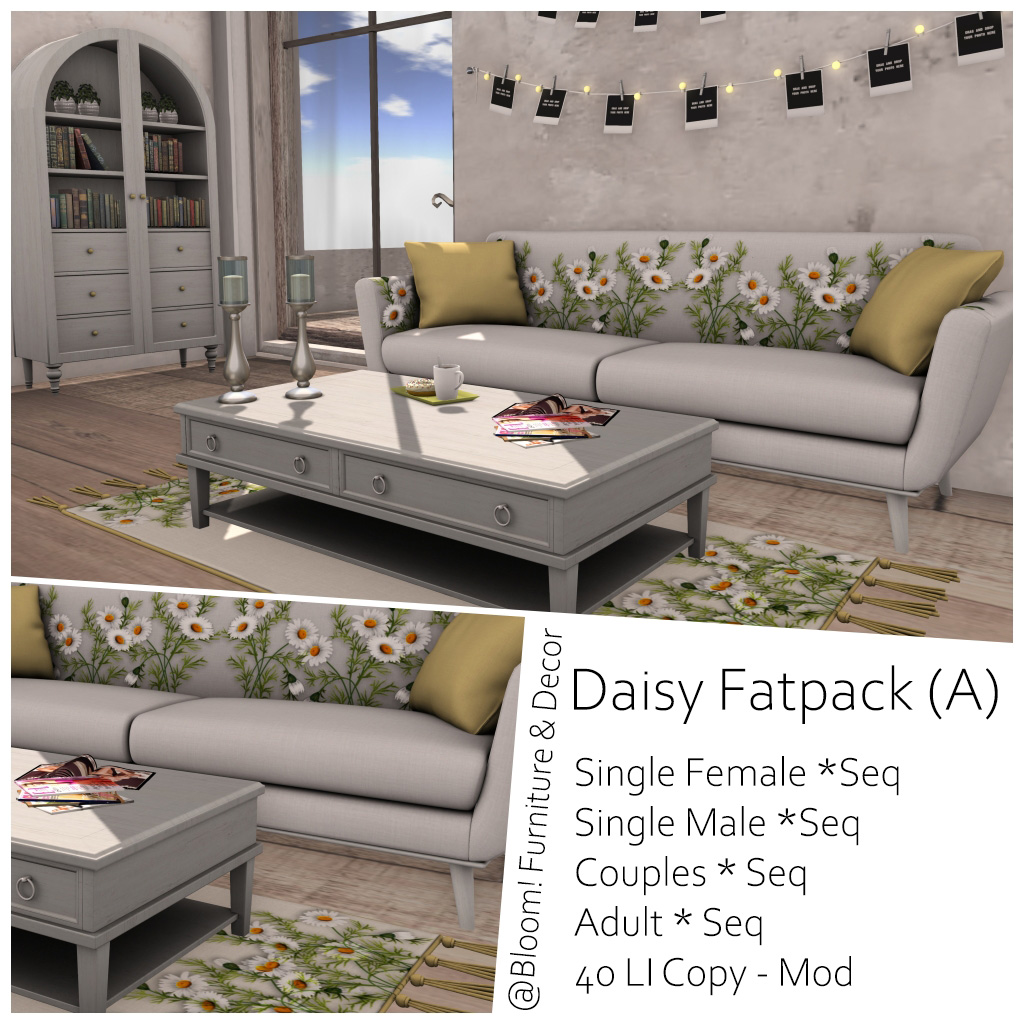 Bloom – Daisy Fatpack