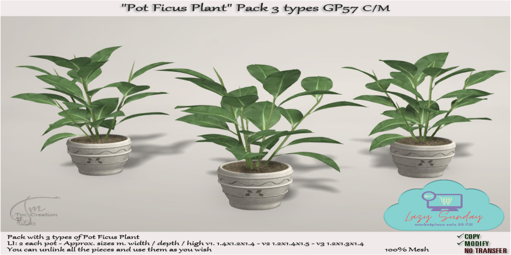 TM Creation – “Pot Ficus Plant”  Pack 3 types GP57