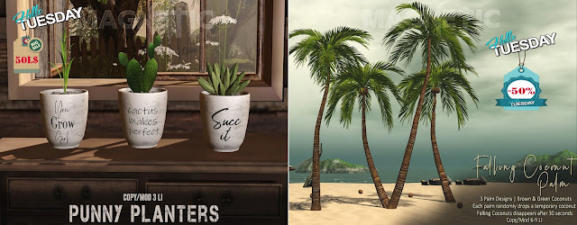 Magnetic – Punny Planters & Falling Coconut Palm
