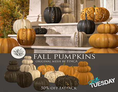 Finca – Fall Pumpkins